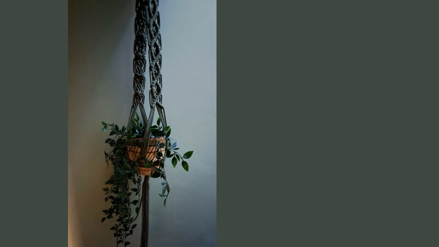 Plant Hangers
